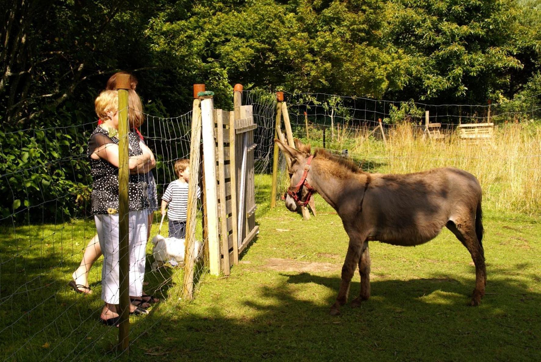 Les Pieds Dans L'Herbe Bed & Breakfast Rosporden Bagian luar foto