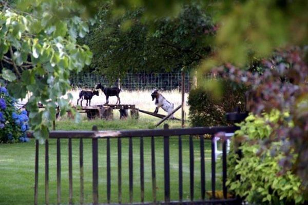 Les Pieds Dans L'Herbe Bed & Breakfast Rosporden Bagian luar foto